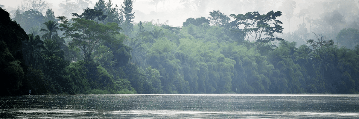 Réservez les vols les plus avantageux vers la République centrafricaine