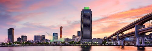 ANA大阪 (神戸) 行きのフライト
