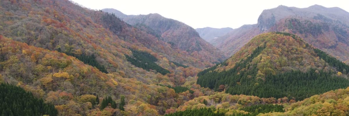 United Airlines New Dreamliner Livery