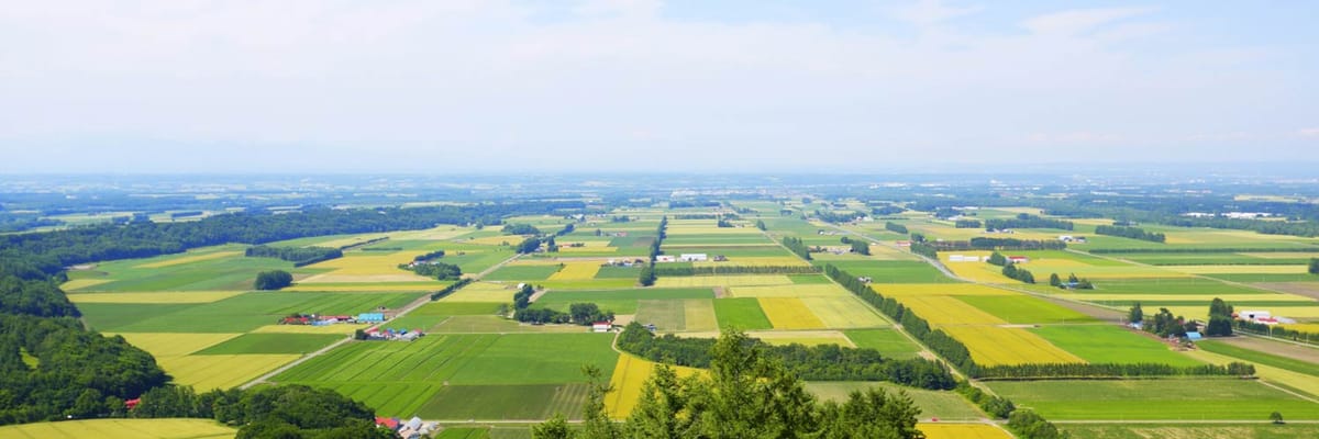 Save Big on Flights to Obihiro with ANA