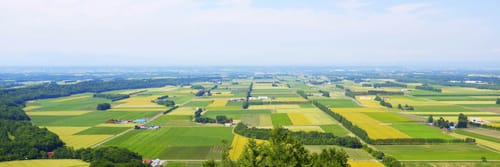 Travel from Los Angeles to Obihiro: Get Low Fare Tickets
