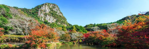 Save Big Flights to Saga with ANA