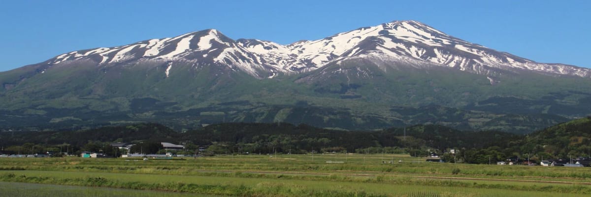 Book Sydney to Sakata Flights with ANA