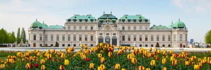 Wellington to Vienna flights