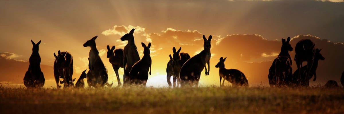 Flight deals to Australia