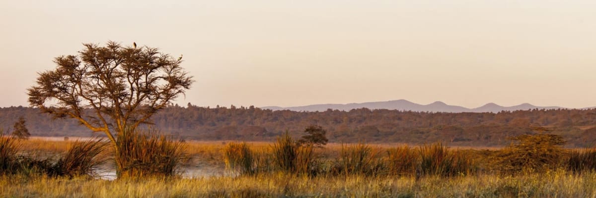 Buchen Sie Flüge ab Kenia 