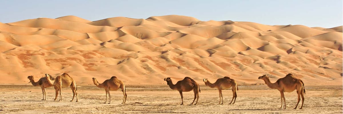 Flight deals from Austin (AUS) to United Arab Emirates