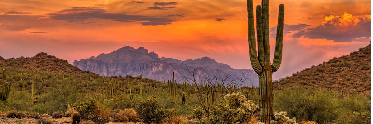 desert scenery in phoenix arizona