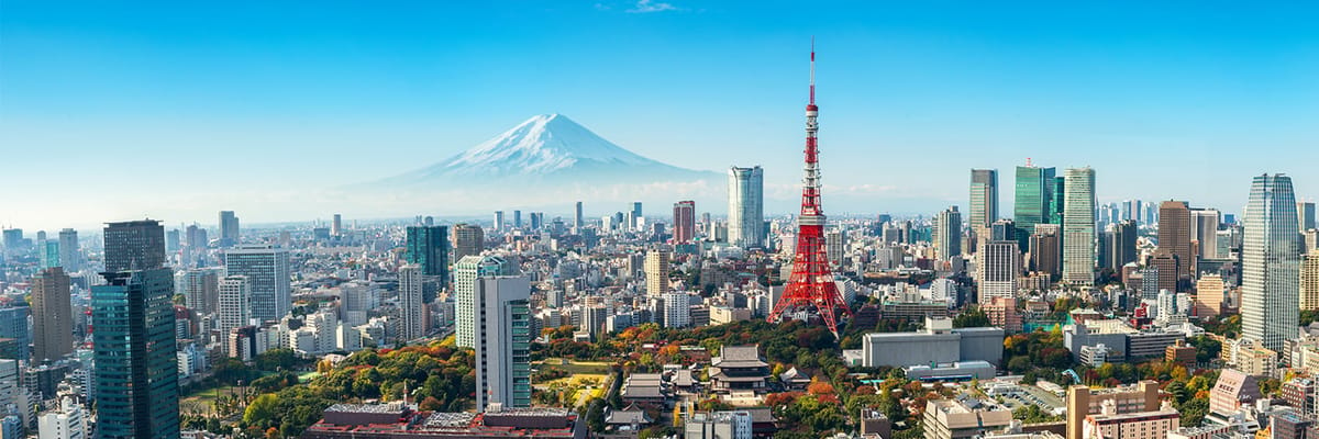 ANA東京 行きのフライト