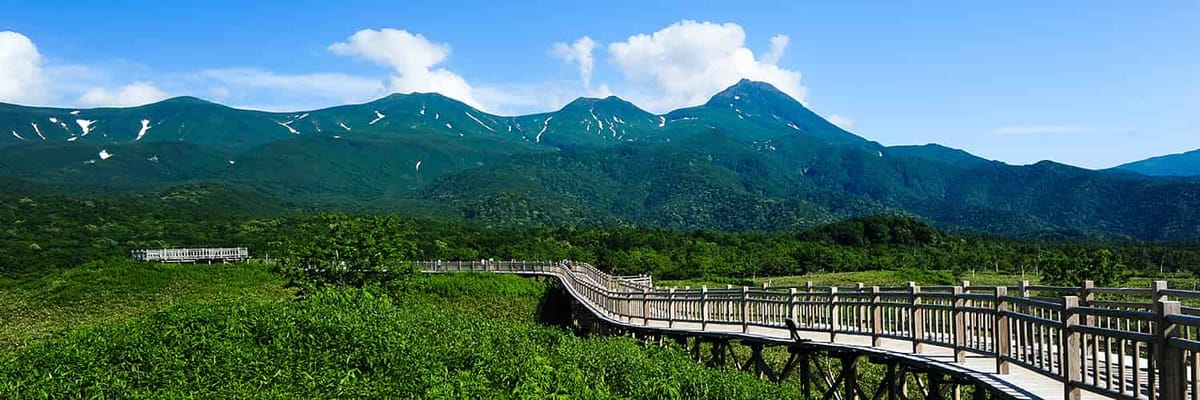 Save Big on Flights to Memanbetsu with ANA