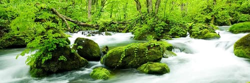 Travel from Vancouver to Odate/Noshiro: Get Low Fare Tickets