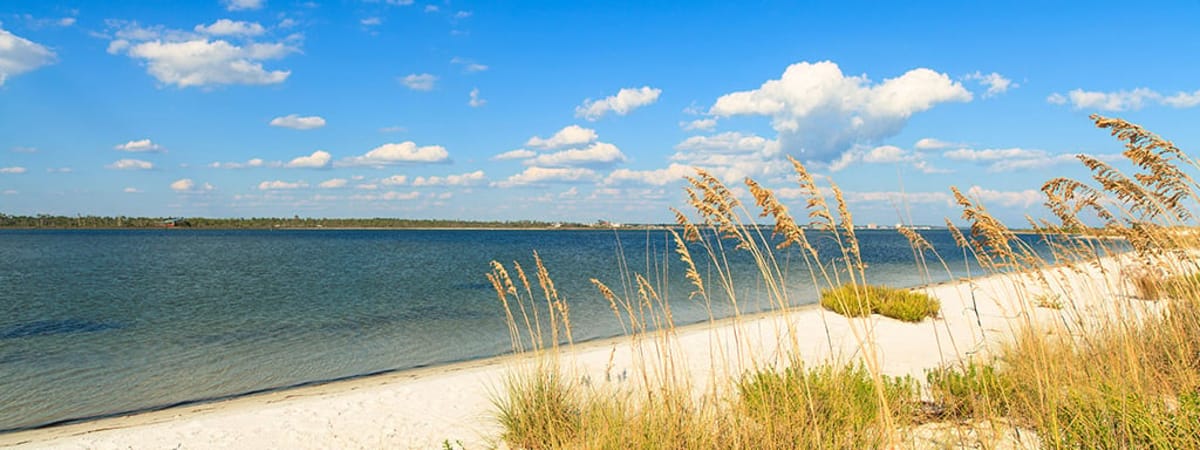 Low Fare Flights from Pensacola (PNS) with Spirit Airlines