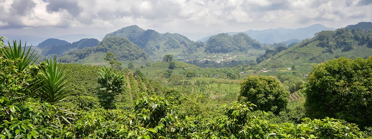 Find Spirit Low Fare Flights From Raleigh (RDU) To Tegucigalpa (XPL)