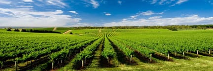 Austin to Adelaide flights