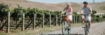 Portland to Napier flights