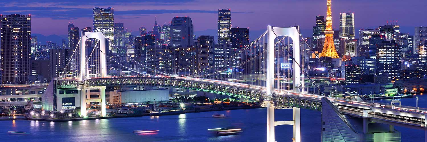 Tokyo city landscape, Tokyo, Japan