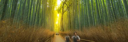 Flights to Japan