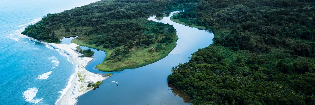 Paisaje tropical de manglares y palafitos en la inmensa Ciénaga Grande, Santa Marta.