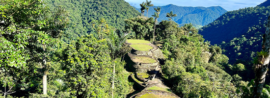 Ciudad Perdida ancient terraces in Sierra Nevada jungle Santa Marta Colombia
