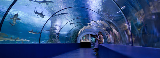 Acuario en Santo Domingo