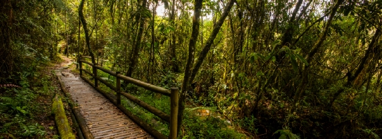 Arví Park, Medellín