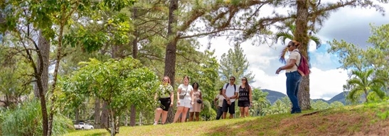 Plantación de Croydon, Jamaica