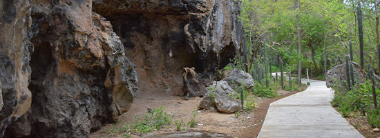 Interior rocoso de las Cuevas Hato con formaciones naturales iluminadas en Curazao.