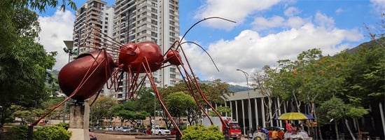 escultura hormiga culona en bucaramanga