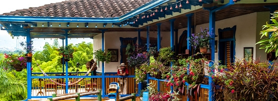 Coffee plants and a small farmhouse at fincas cafeteras in a lush landscape.