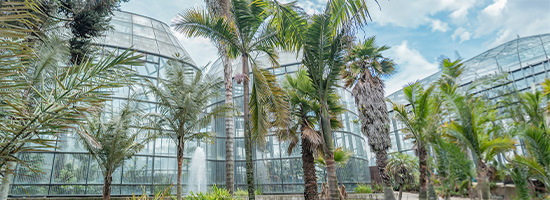 Botanical Garden José Celestino Mutis Bogotá