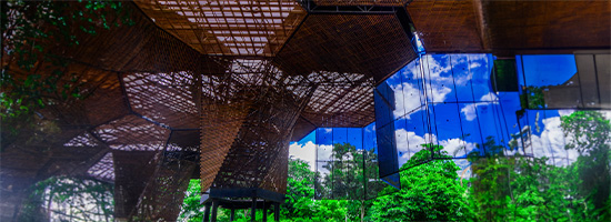 Jardín Botánico de Medellín