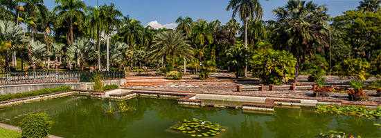 Jardín Botánico Nacional de Santo Domingo