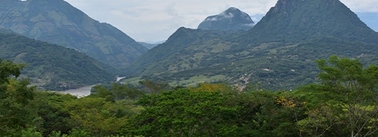 Montañas y niebla en el Parque Natural Los Farallones cerca de Cali.
