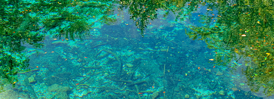 Parque Ojos Indígenas Punta Cana