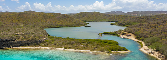 Playa Manzalina con agua azul, rocas y vegetación costera en Curazao.