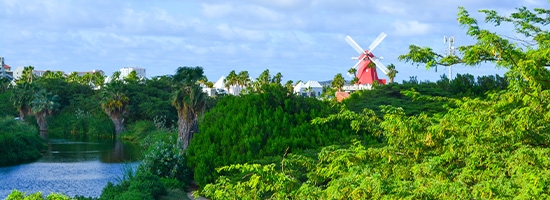 Zona natural del Santuario de Aves Bubali con vegetación, agua y molino rojo al fondo en Aruba.