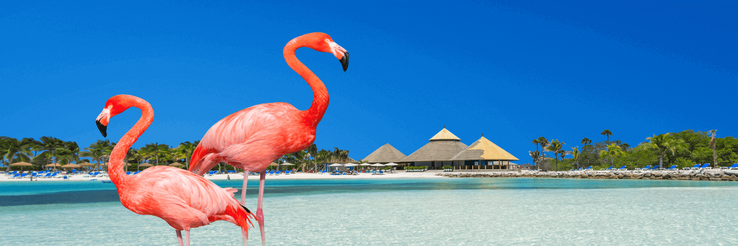 Encontre pacote SÃ£o Paulo para CuraÃ§ao com Azul Viagens