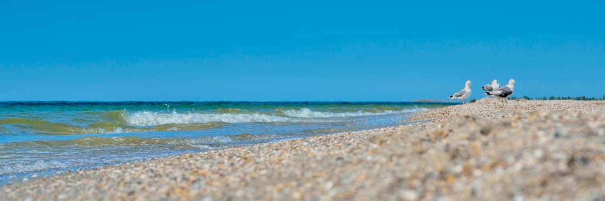 Search and book flights from Toronto (YTO) to Kherson (KHE)