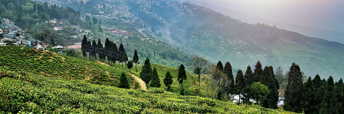 Save on Flights from Riyadh to Bagdogra with Akasa Air