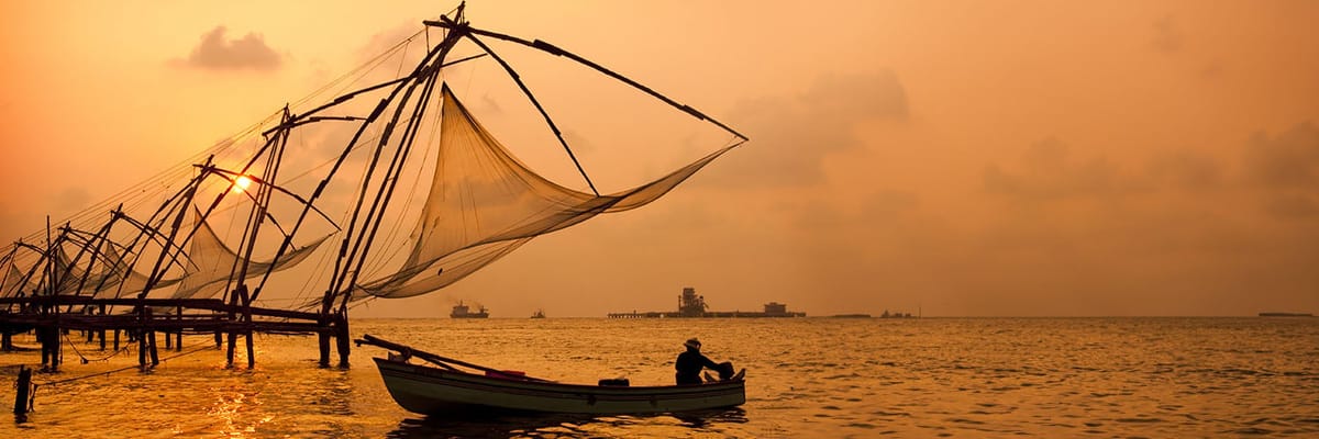 Save on Flights from Abu Dhabi to Kochi with Akasa Air