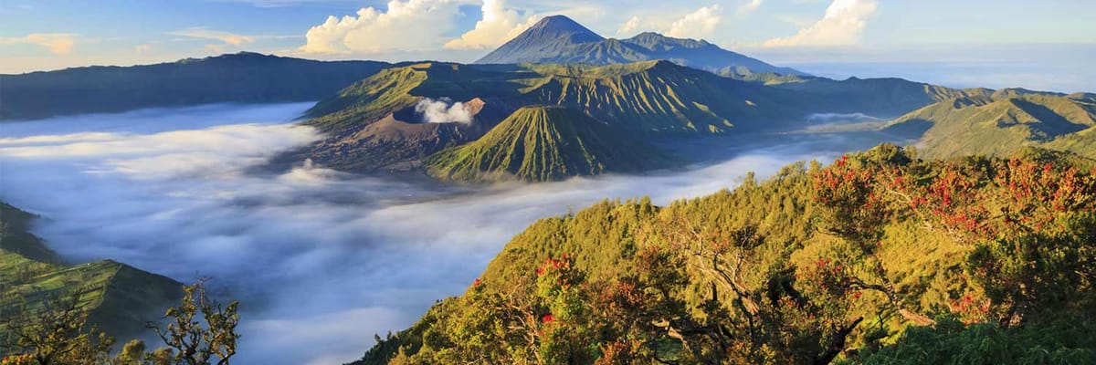 名古屋発スラバヤ行きのフライトを検索