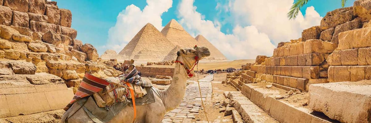 سافر مع السعودية