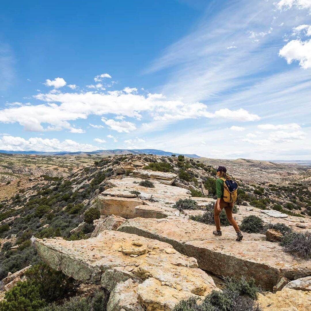 Cheap Flights to Billings with Sun Country