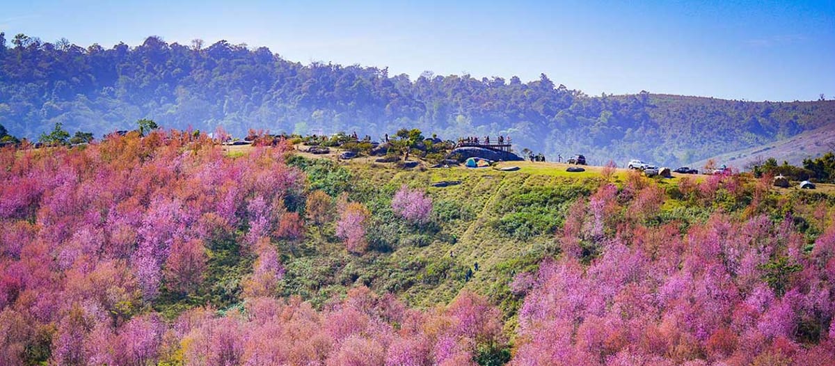 Find the Best Flights from Loei on Thai Airways