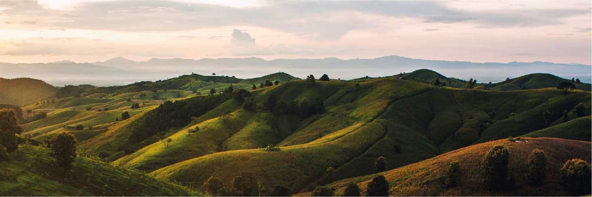 Find the Best Flights from Phrae on Thai Airways