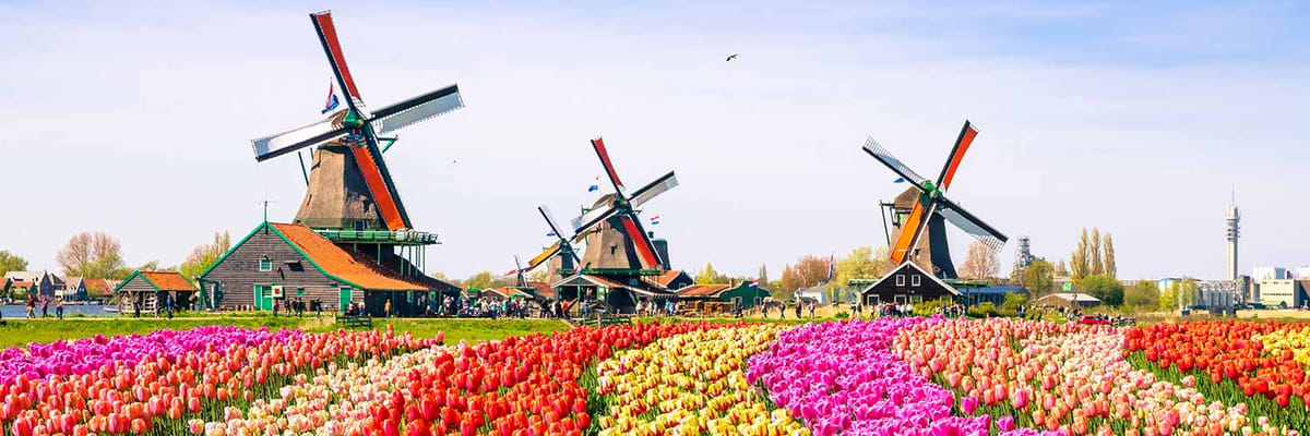 Start your trip to Netherlands with Thai Airways