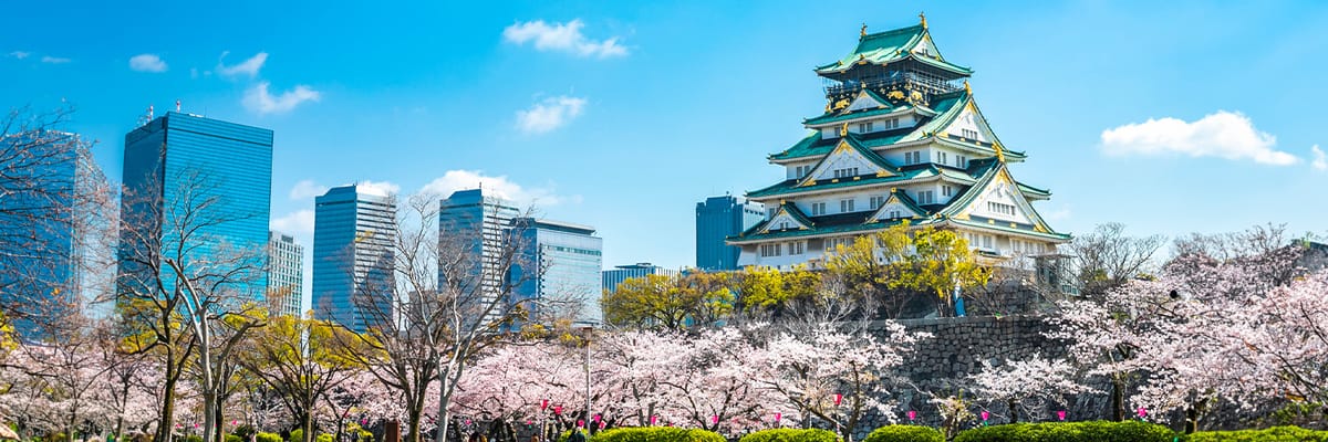 "Перелеты Turkish Airlines из Болоньи в Осаку",