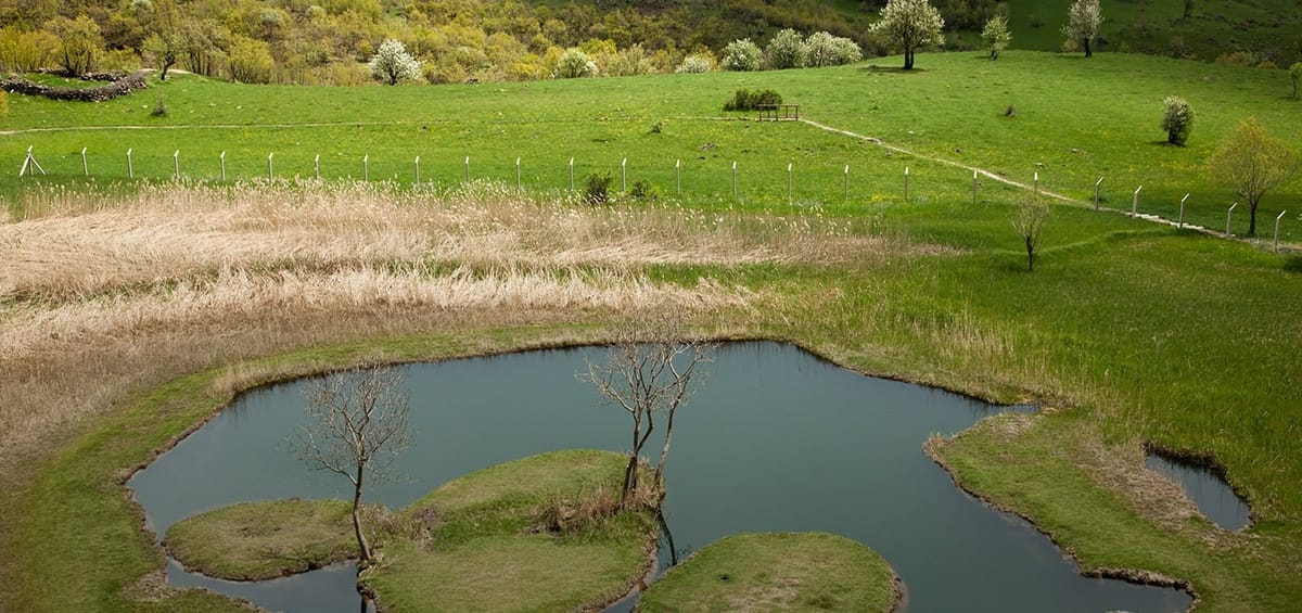 "Перелеты Turkish Airlines из Рима в Бингёль",