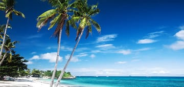 Lapu-lapu çıkışlı uçak biletilerini görmek için tıklayın