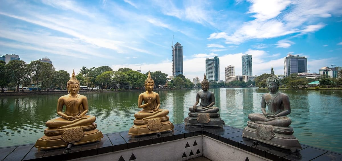 "Перелеты Turkish Airlines из Копенгагена в Коломбо",